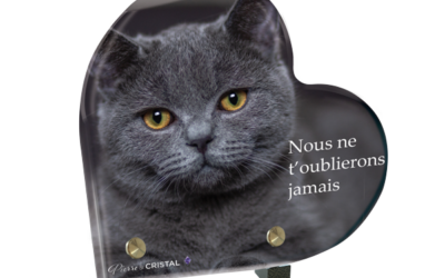 Plaque funéraire chat chartreux coeur