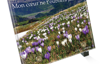 Plaque Funéraire Colline Fleurie: Le Panorama du Souvenir Inoubliable
